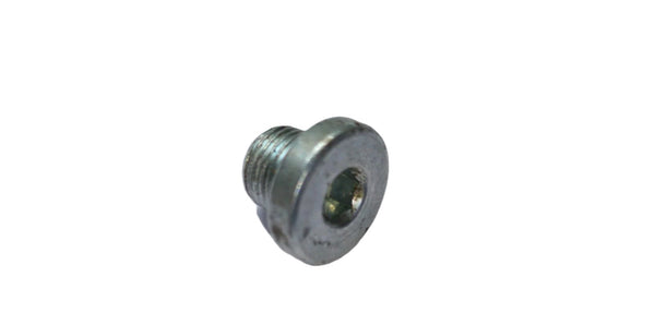 Plug Bolt (L-12)